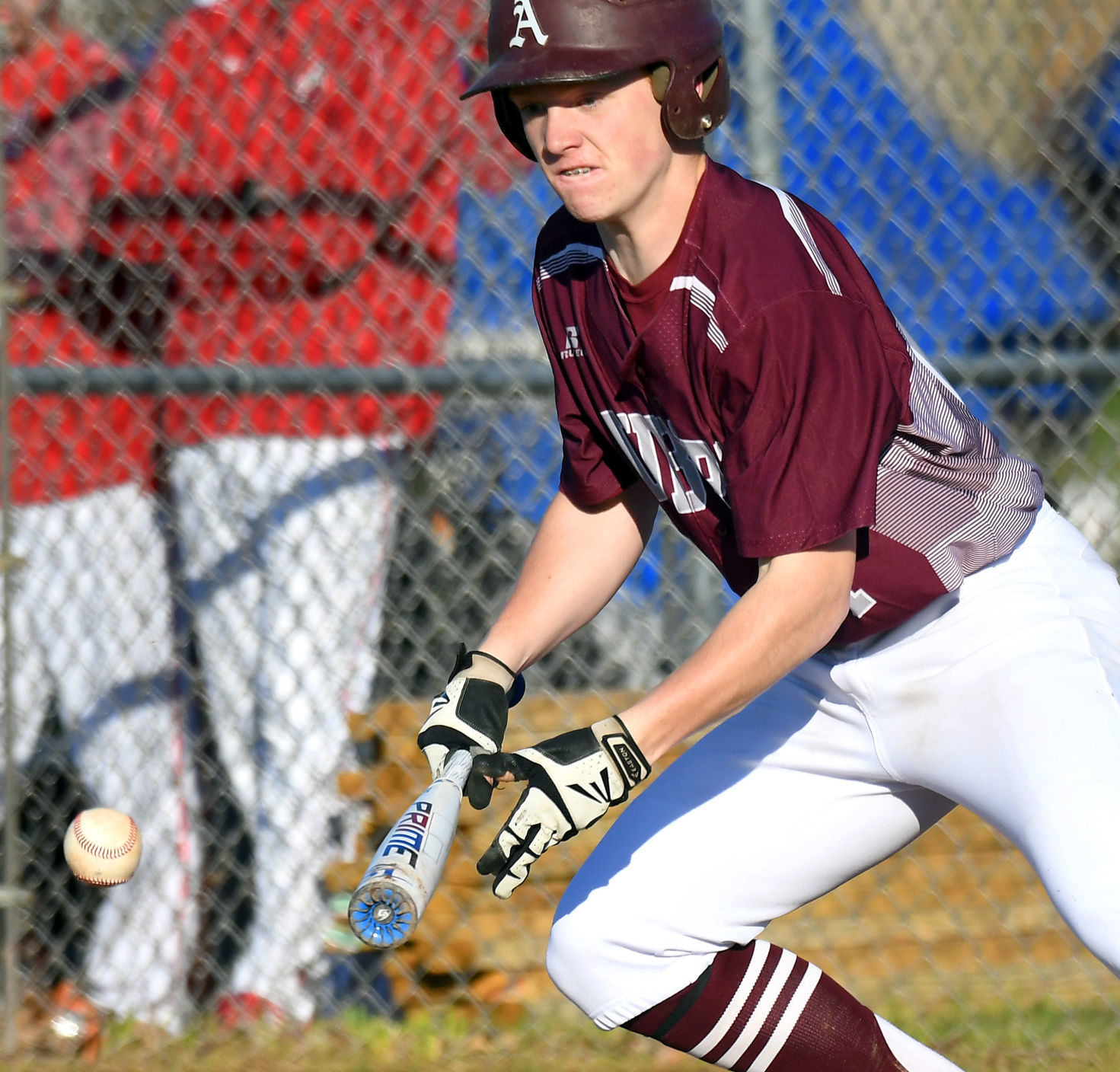 Auburn J-D Baseball 5.JPG